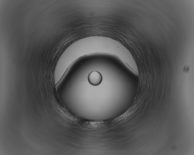 X0000090470188200708031313