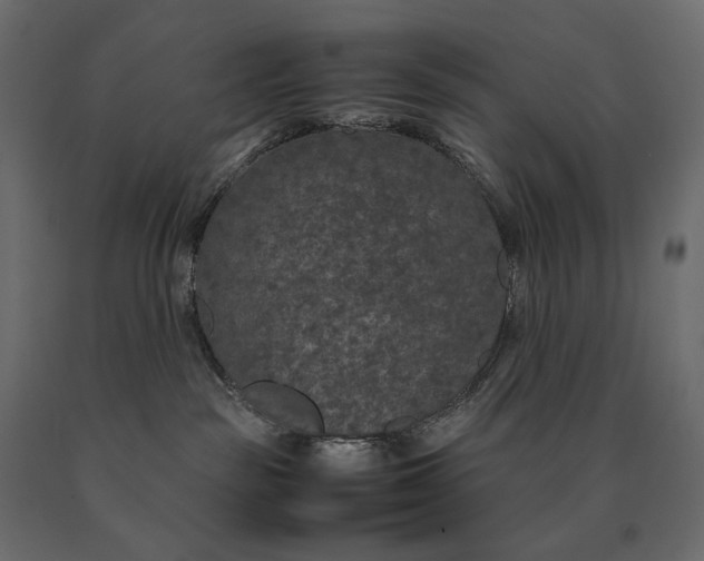 X0000090470189200708031313