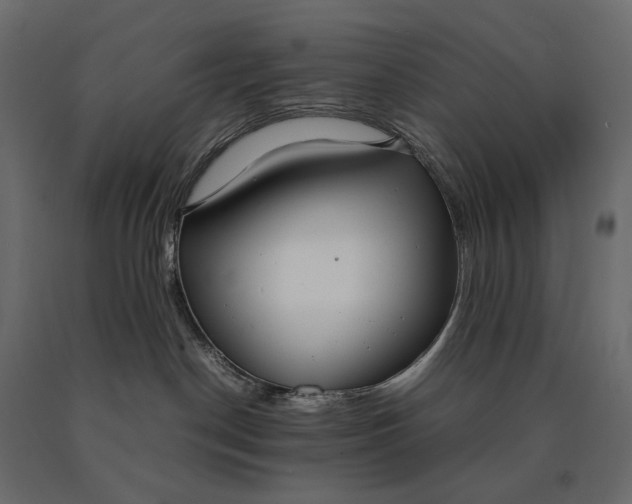 X0000090470190200708031313