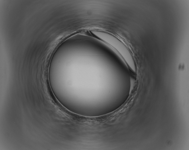 X0000090470193200708031313