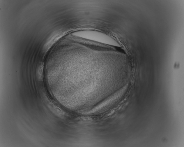 X0000090470194200708031313