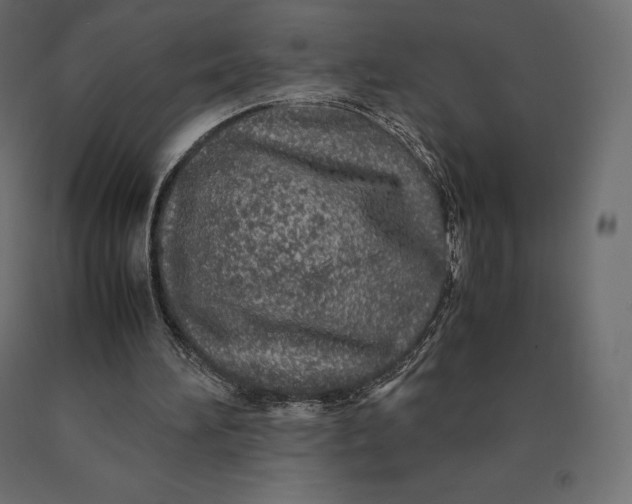 X0000090470196200708031312