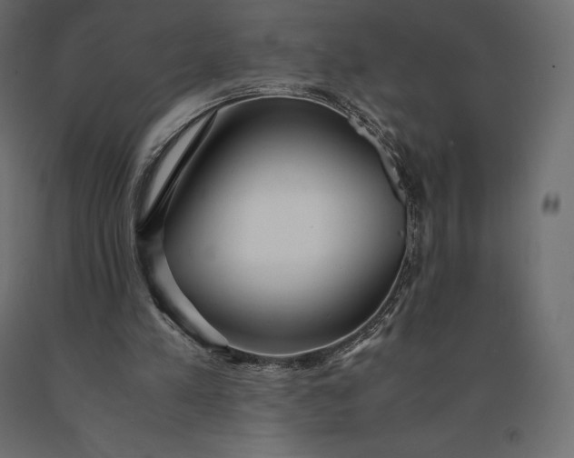 X0000090470197200708031312