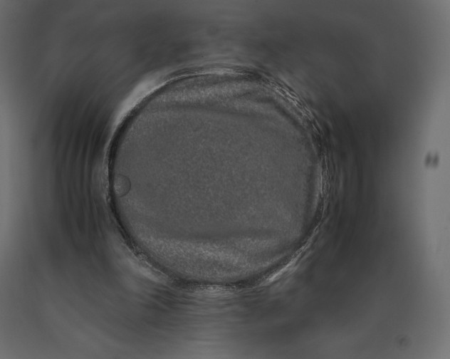 X0000090470198200708031312