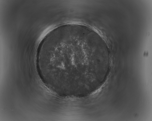 X0000090470199200708031312