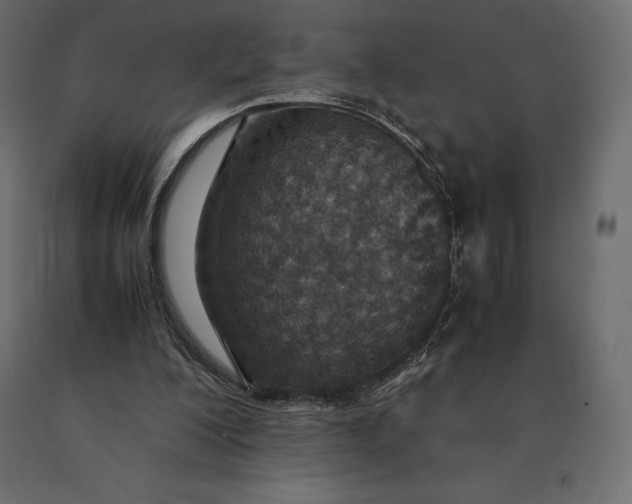 X0000090470200200708031312