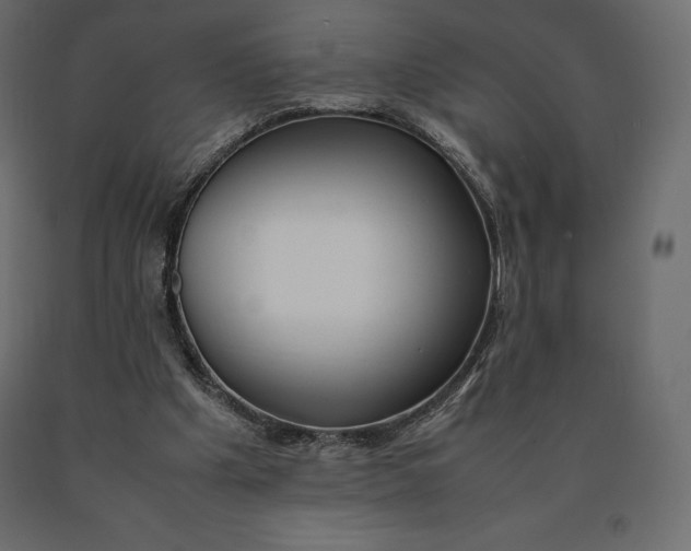 X0000090470201200708031312