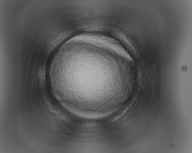 X0000090470202200708031312