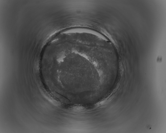 X0000090470203200708031312