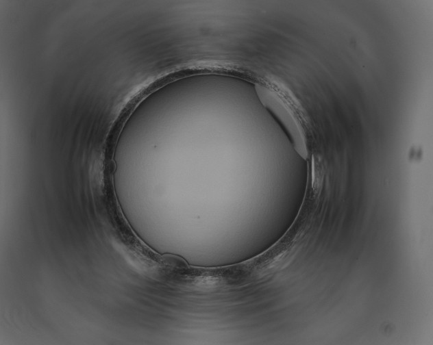 X0000090470204200708031312