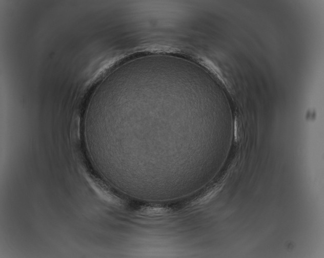 X0000090470205200708031312