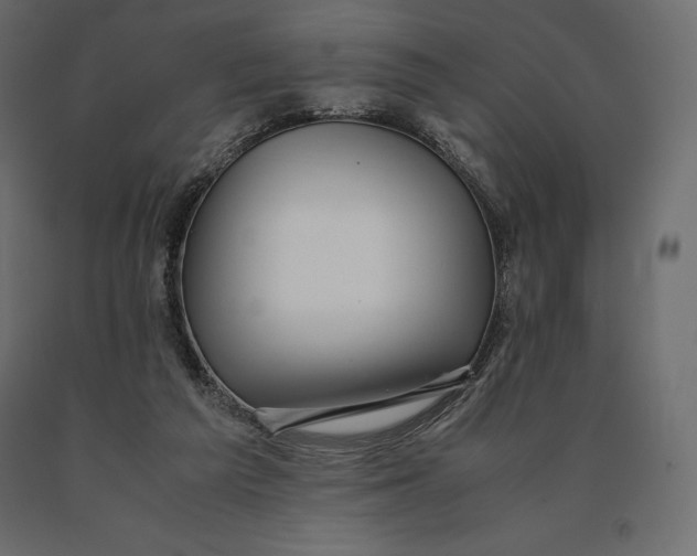 X0000090470209200708031312