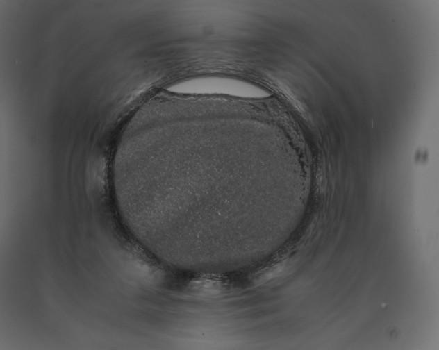 X0000090470211200708031312