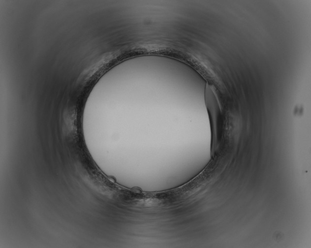 X0000090470212200708031312