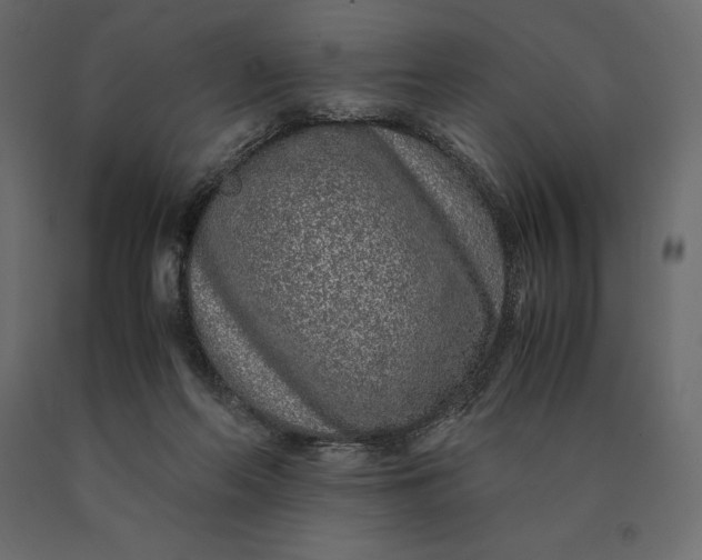 X0000090470214200708031312