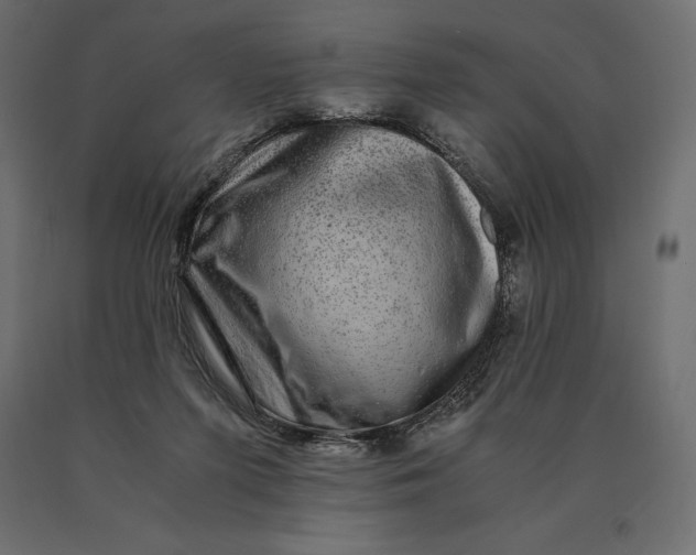 X0000090470215200708031312