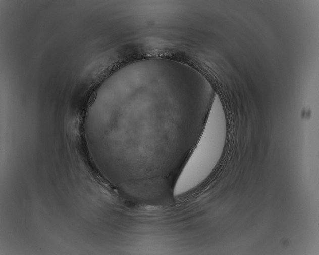 X0000090470219200708031312