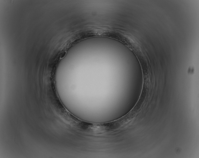 X0000090470221200708031312