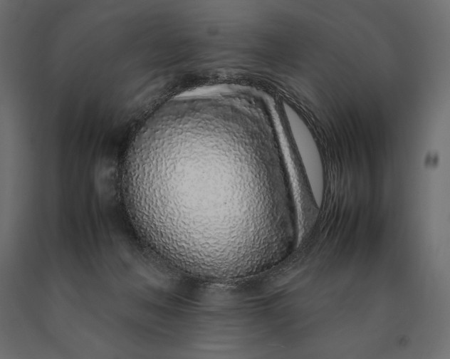 X0000090470222200708031312