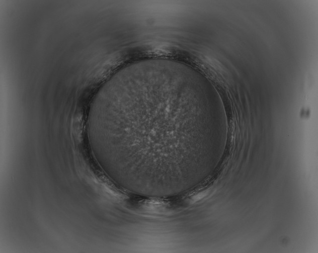 X0000090470223200708031312