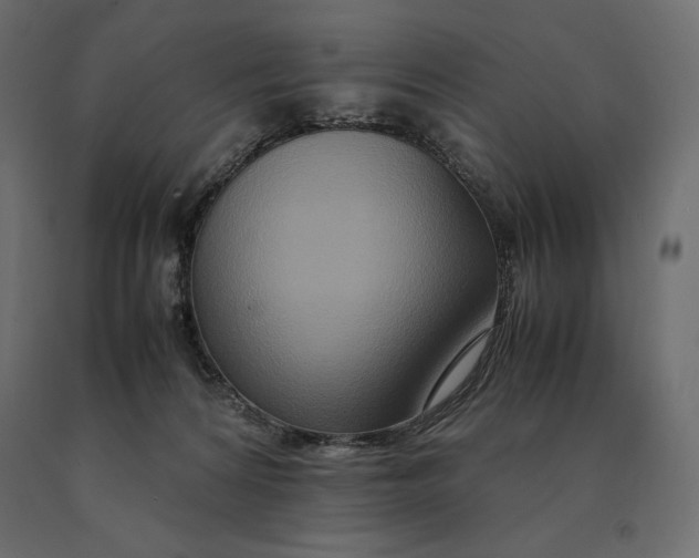 X0000090470224200708031312