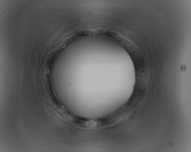 X0000090470225200708031312