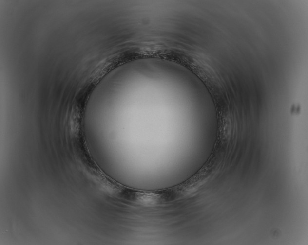 X0000090470226200708031312