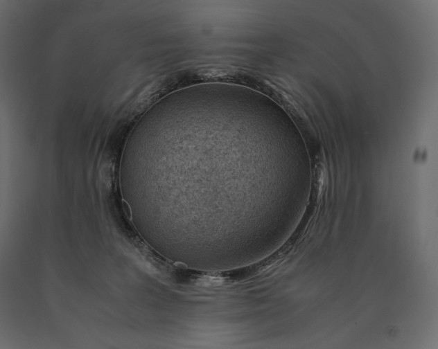 X0000090470227200708031312