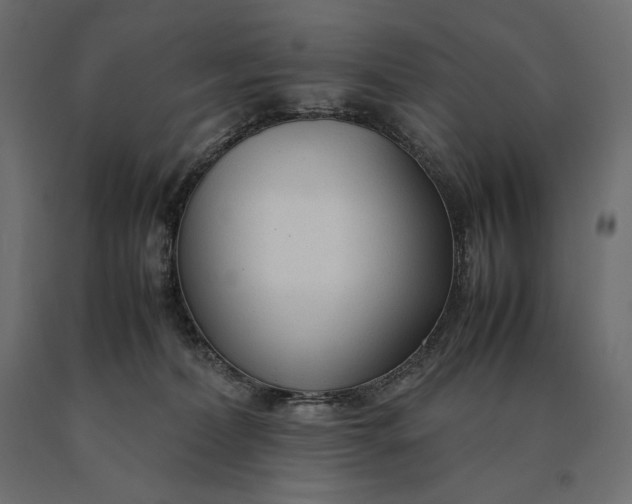 X0000090470228200708031312