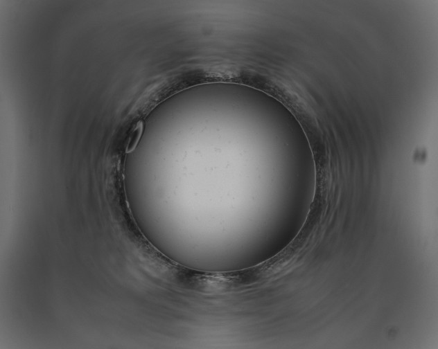 X0000090470229200708031312