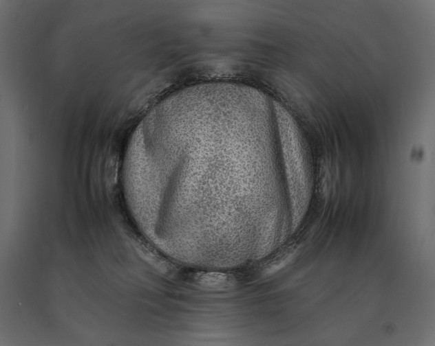 X0000090470230200708031312