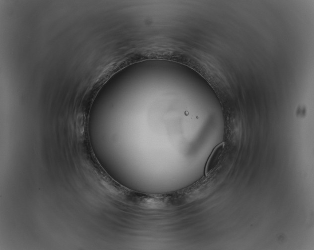 X0000090470232200708031312