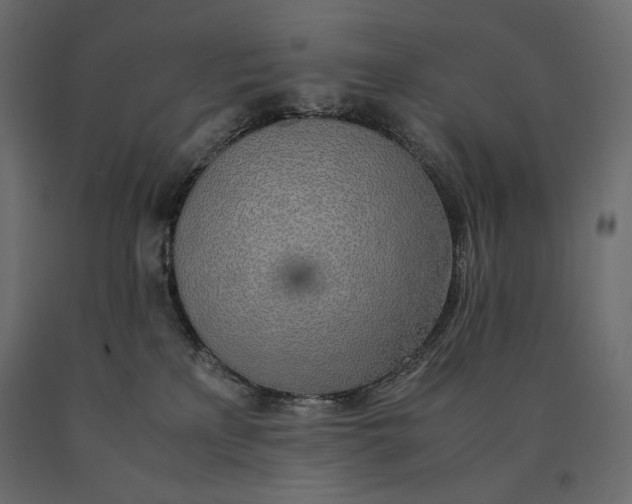 X0000090470233200708031312