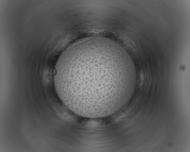 X0000090470236200708031312