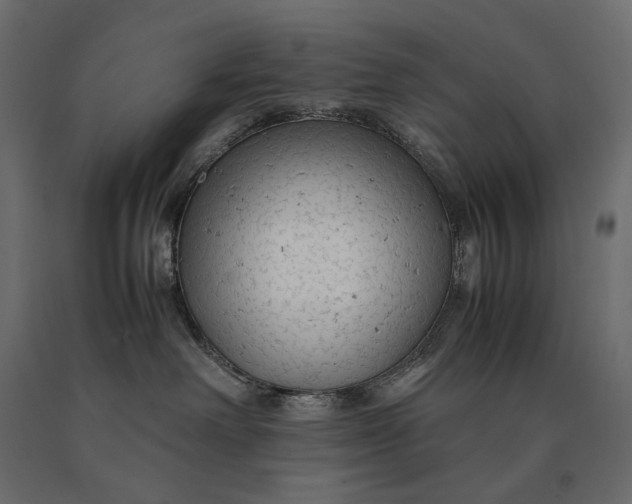 X0000090470238200708031312