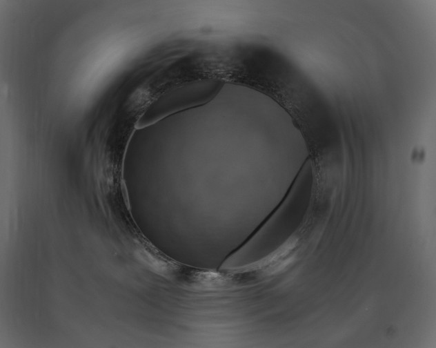 X0000090470239200708031312