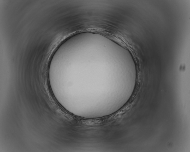 X0000090470241200708031311