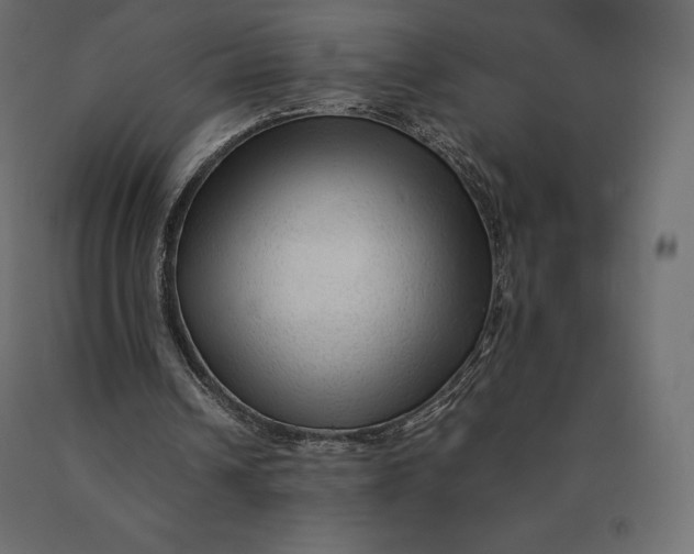 X0000090470242200708031311