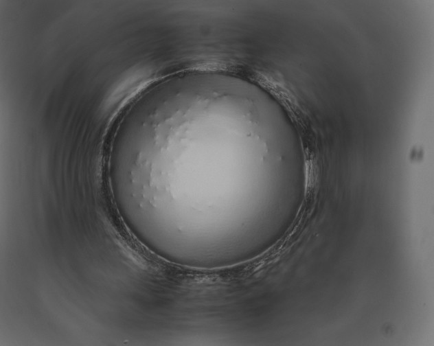 X0000090470243200708031311