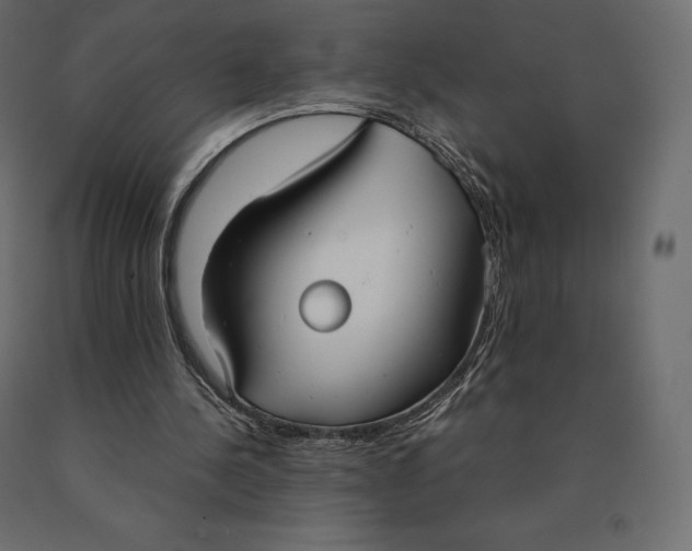 X0000090470244200708031311