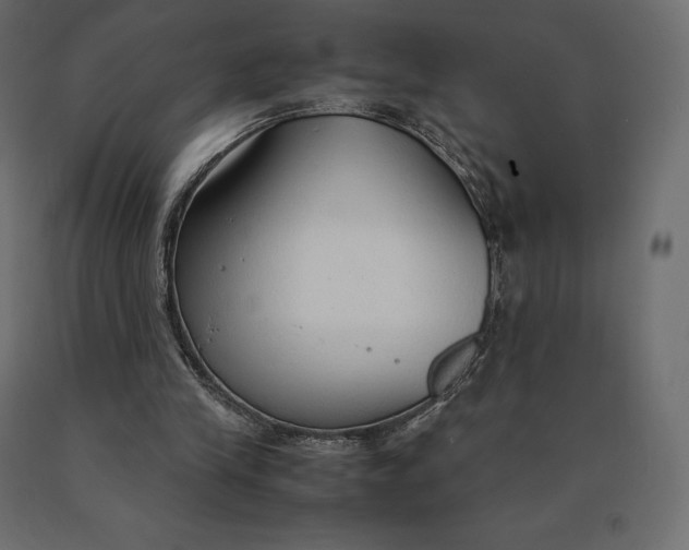 X0000090470245200708031311