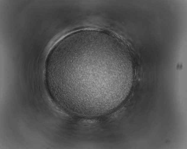 X0000090470247200708031311