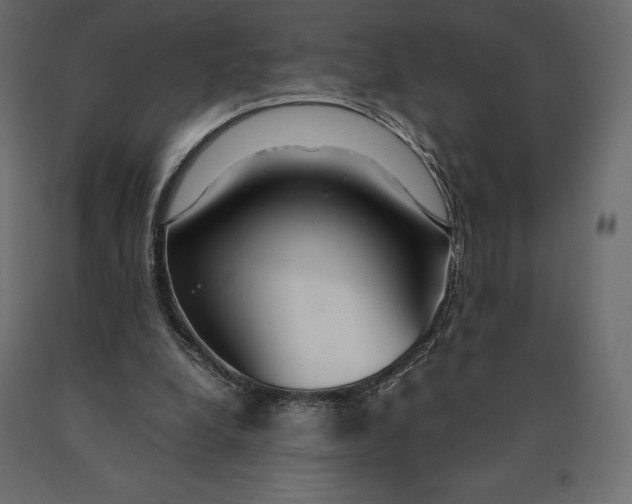 X0000090470248200708031311