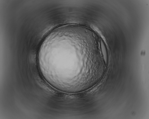 X0000090470249200708031311