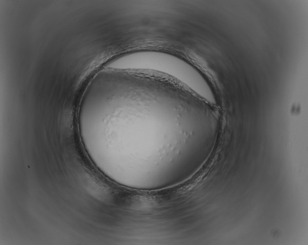 X0000090470250200708031311