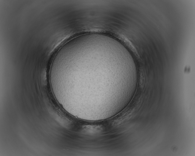 X0000090470251200708031311