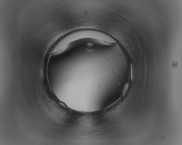 X0000090470252200708031311