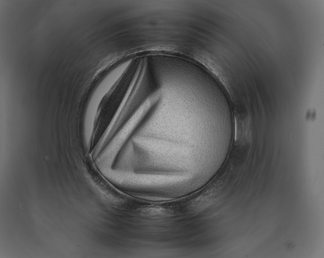 X0000090470253200708031311