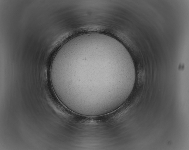 X0000090470254200708031311