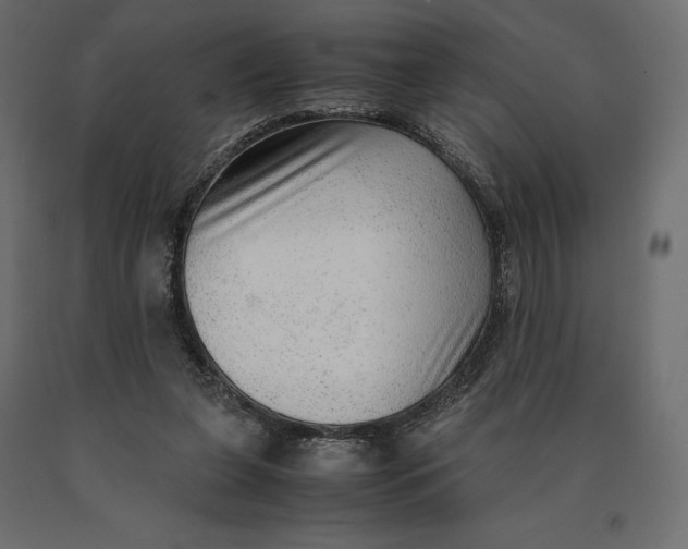 X0000090470255200708031311